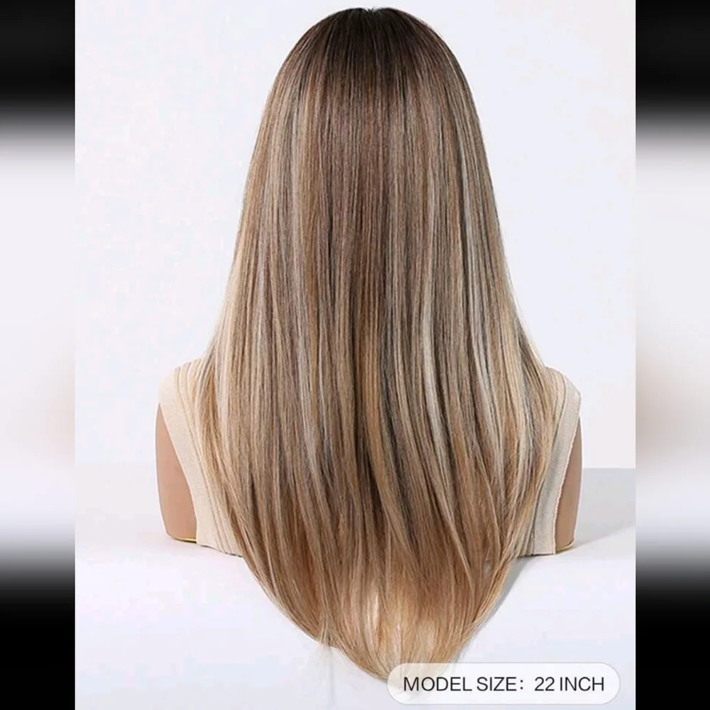 SALE  ** BRAND NEW ** Stylish Ombre Brown and Blonde Wig